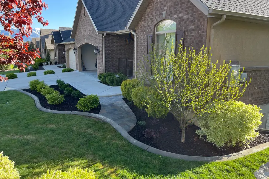 Photo 2023 07 21 17 24 52 Crop